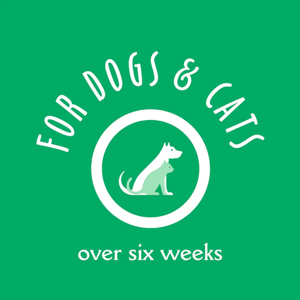 Oatmeal & Aloe Dog Shampoo, 16 Oz L21428