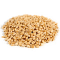 Organic Hard White Wheat Berries, Whole Grain, 25 lb F773