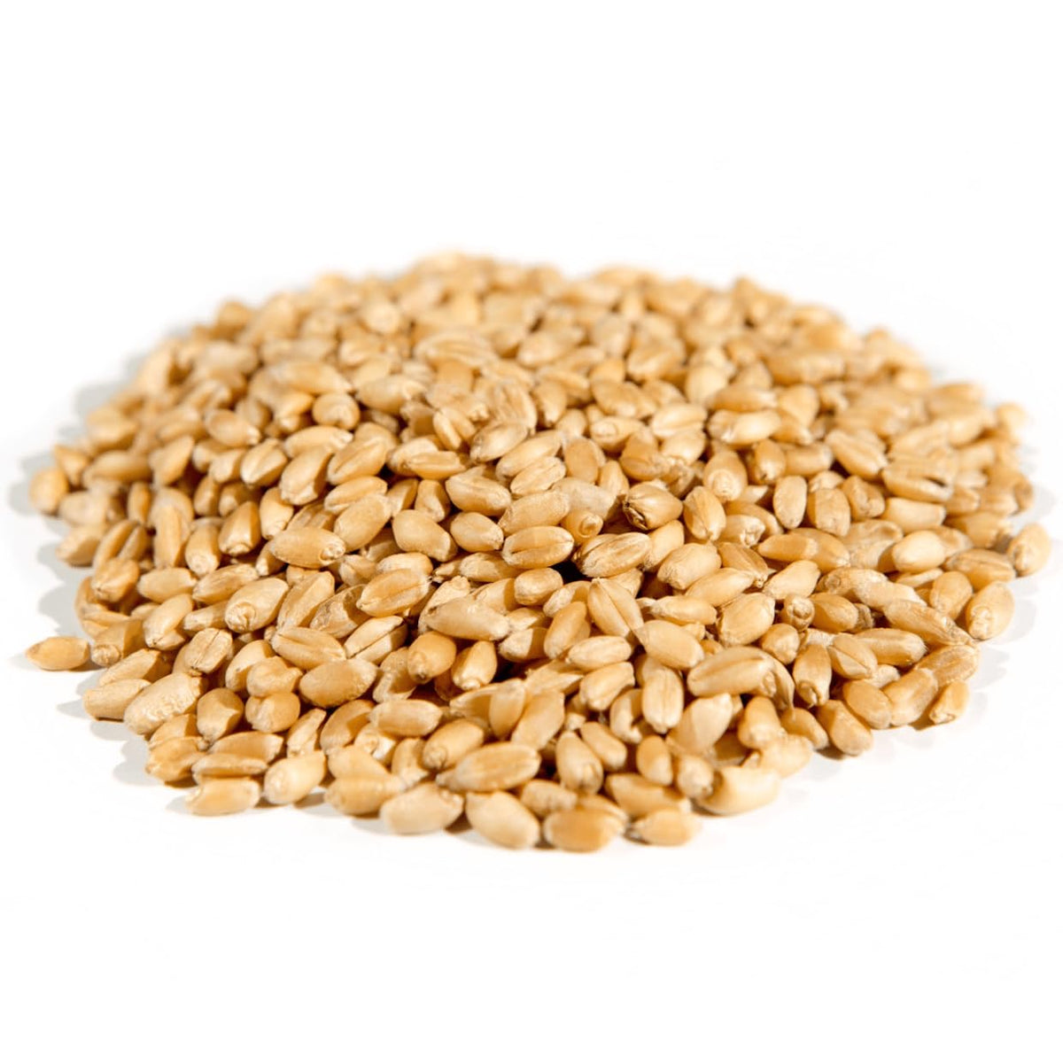 Organic Hard White Wheat Berries, Whole Grain, 25 lb F773