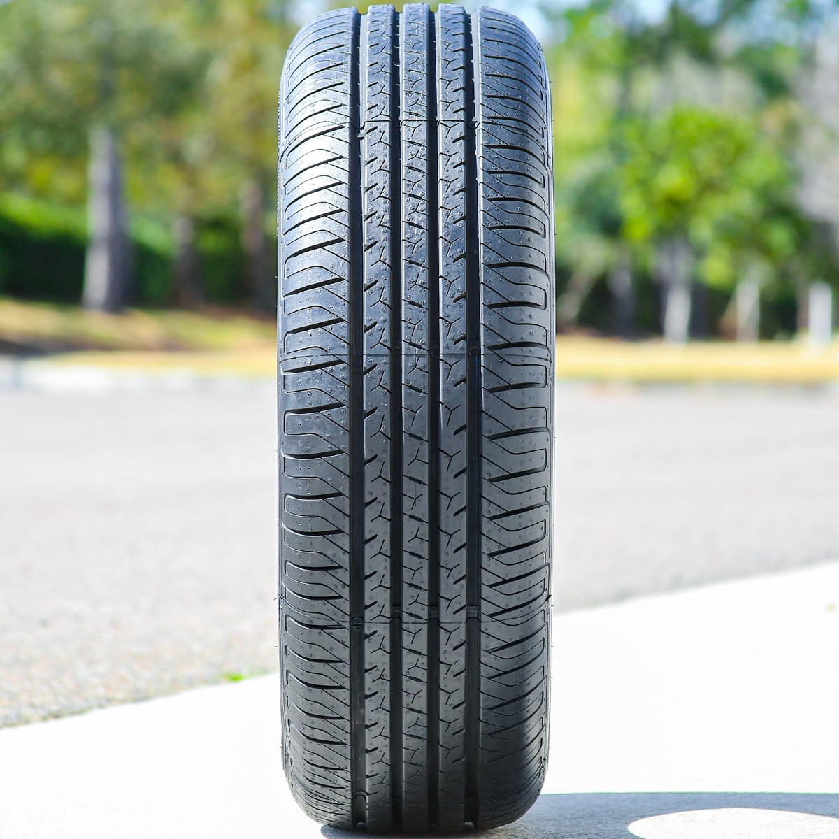 Summer Touring Tire S76608