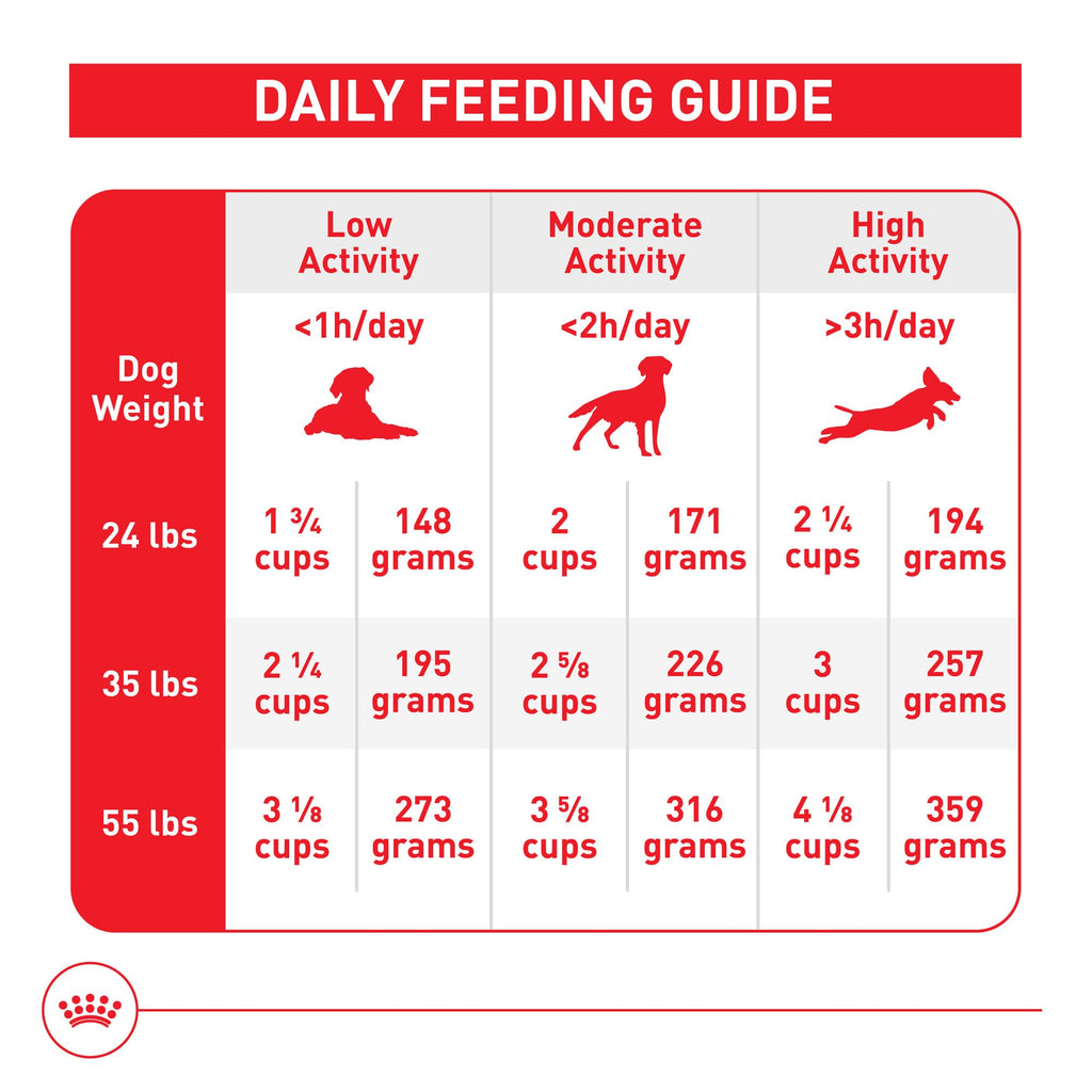 Medium Adult Dry Dog Food, 17 lb Bag N897037