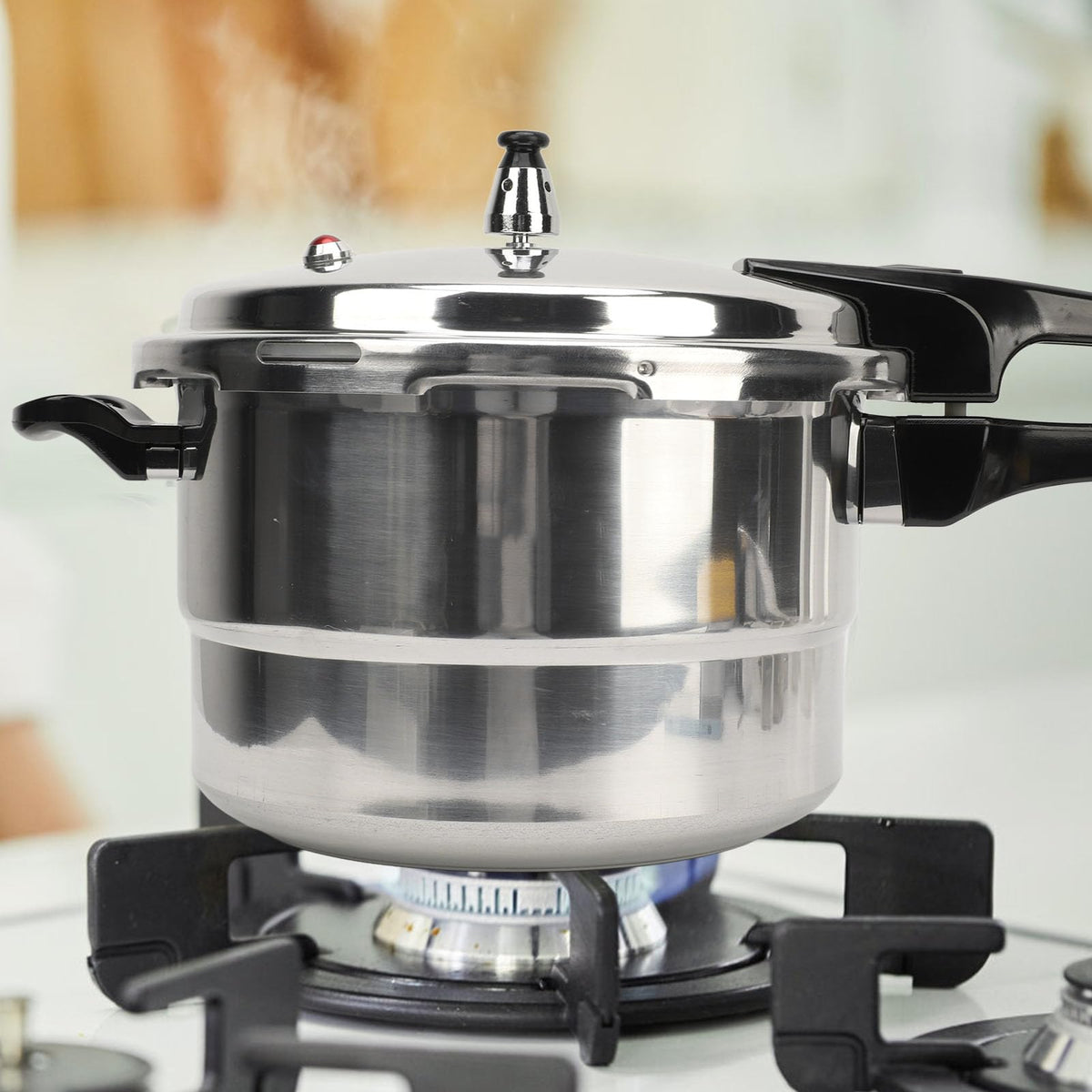 Stainless Steel 3L Pressure Cooker L91487