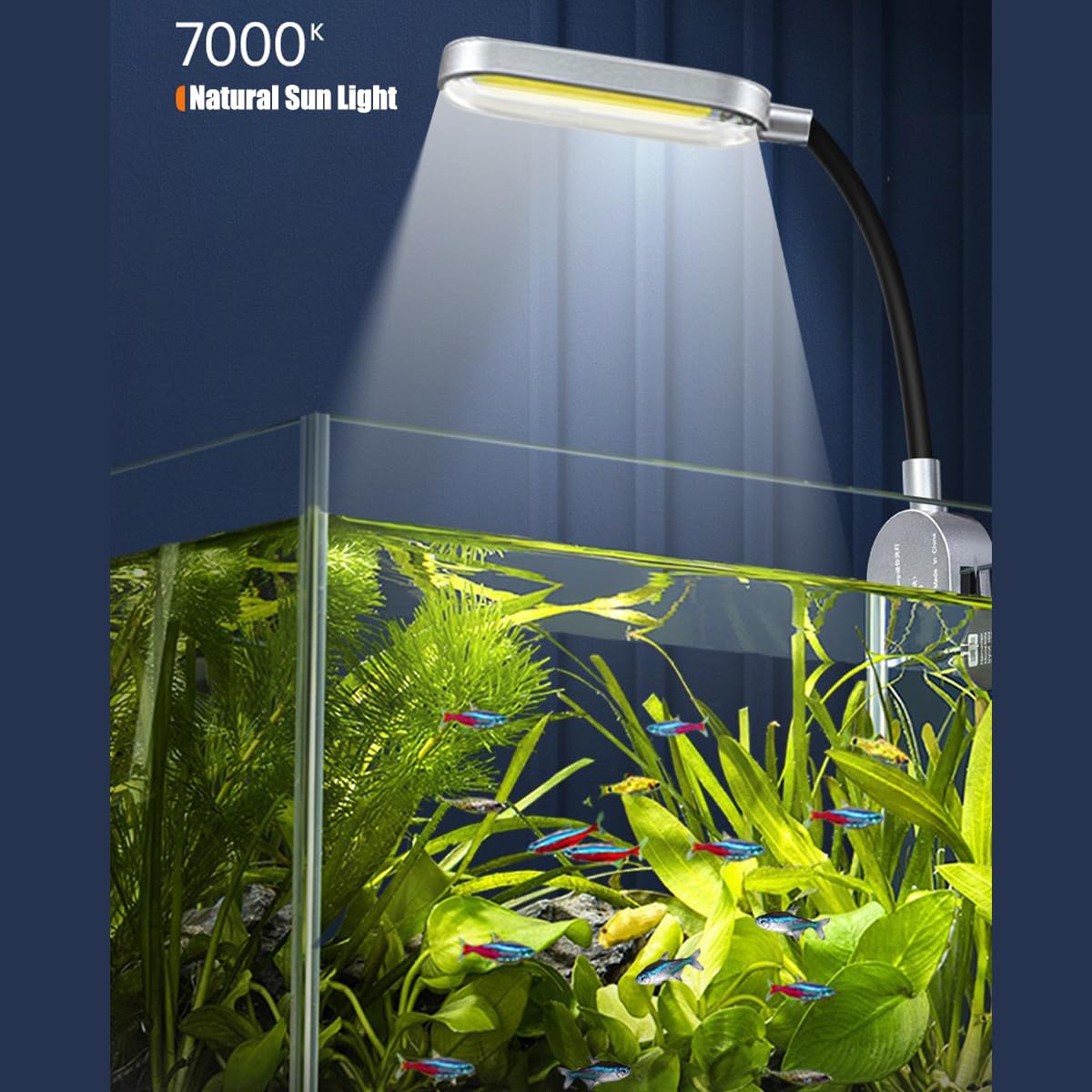 1.5 Gallon Glass Aquarium Starter Kit with Filter and LED Light O175595