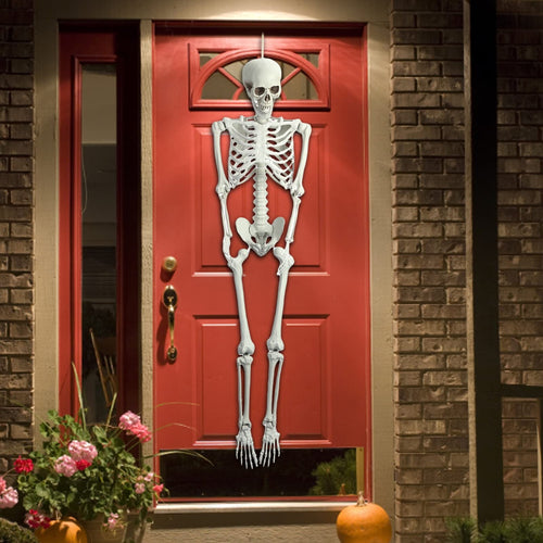 165cm Posable Full Body Skeleton J298
