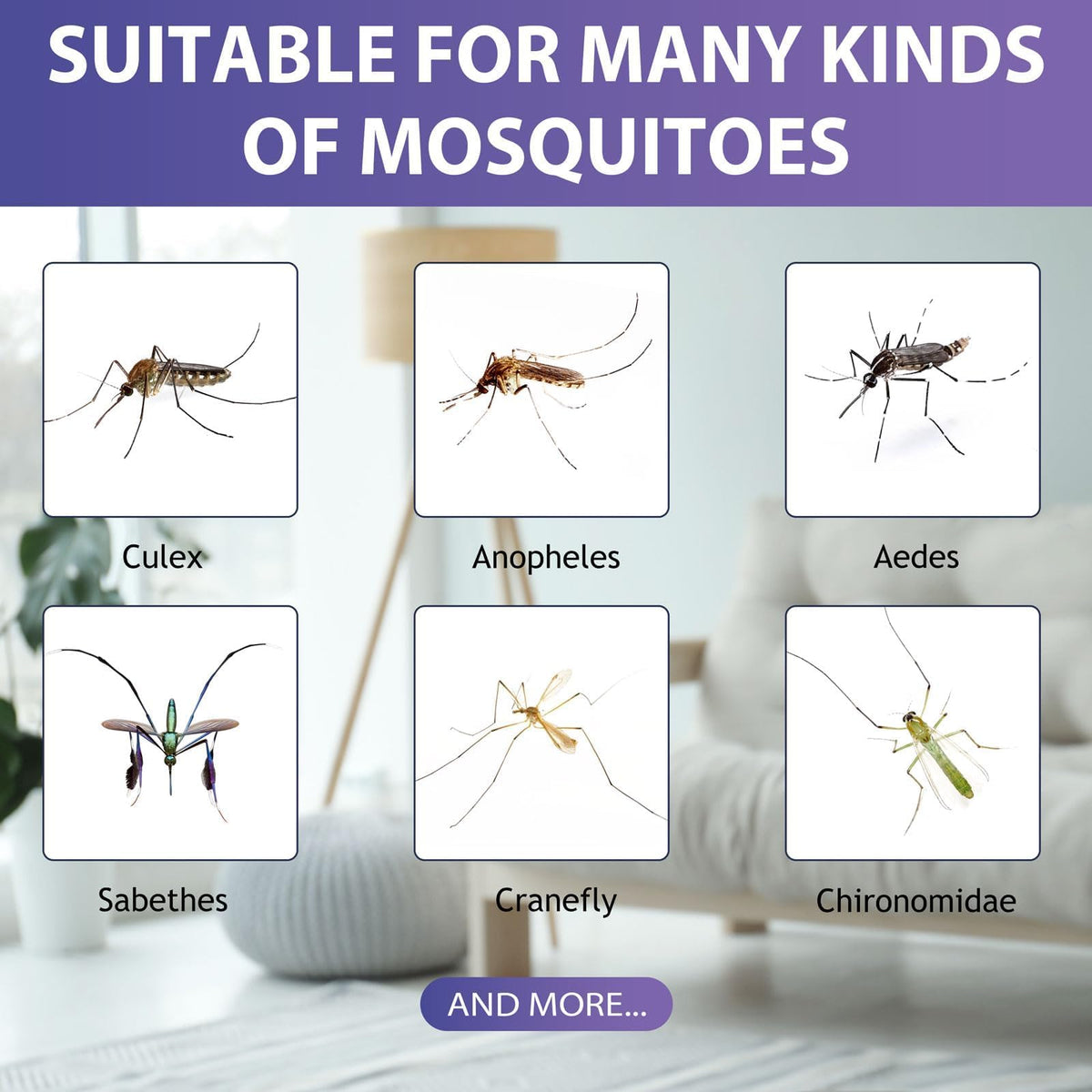 Mosquito Attractant Bait Refill G40770