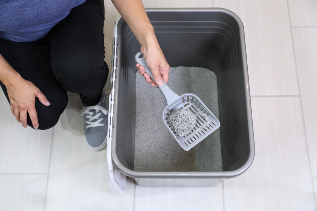 Enclosed Cat Litter Box with Hinged Lid B997