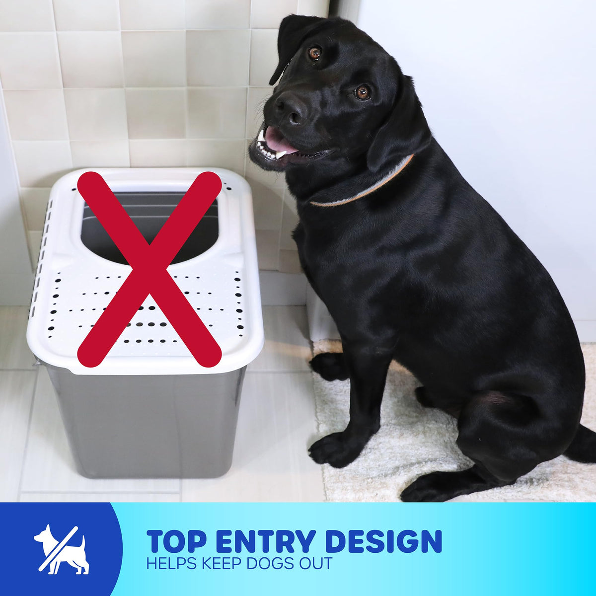 Enclosed Cat Litter Box with Hinged Lid B997