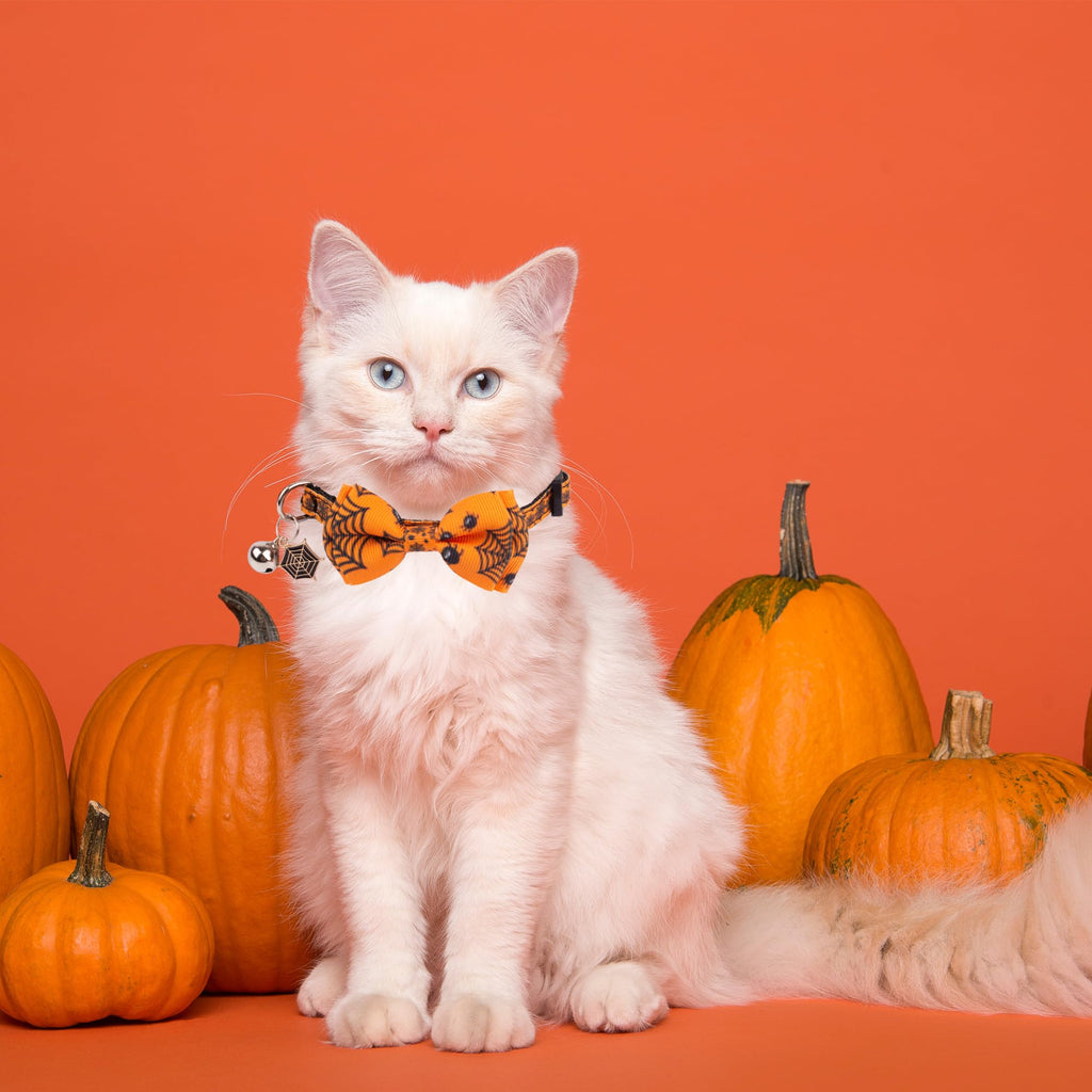 Halloween Cat Collar with Bow Bell P5824