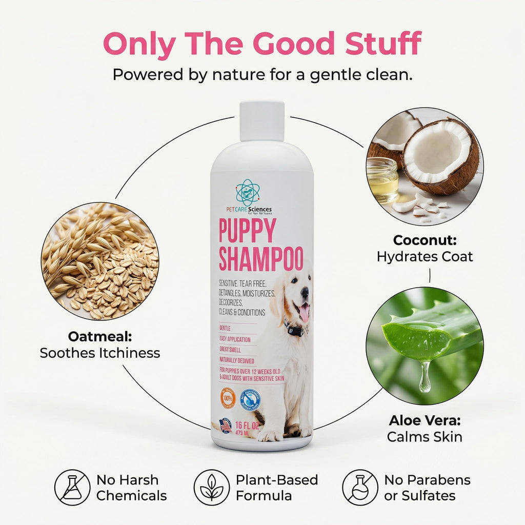16 fl oz Tearless Coconut Oil Oatmeal Dog Shampoo and Conditioner H366