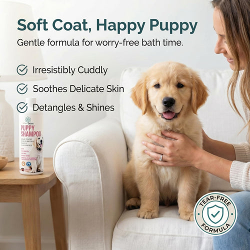 16 fl oz Tearless Coconut Oil Oatmeal Dog Shampoo and Conditioner H366