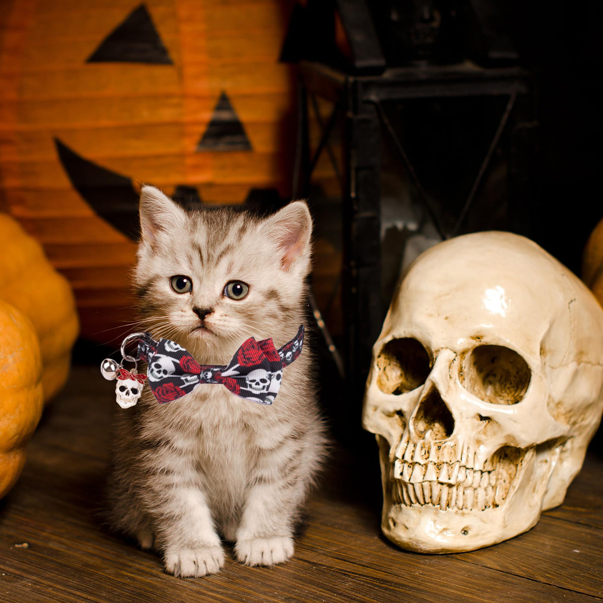 Halloween Cat Collar with Bow Bell P5824