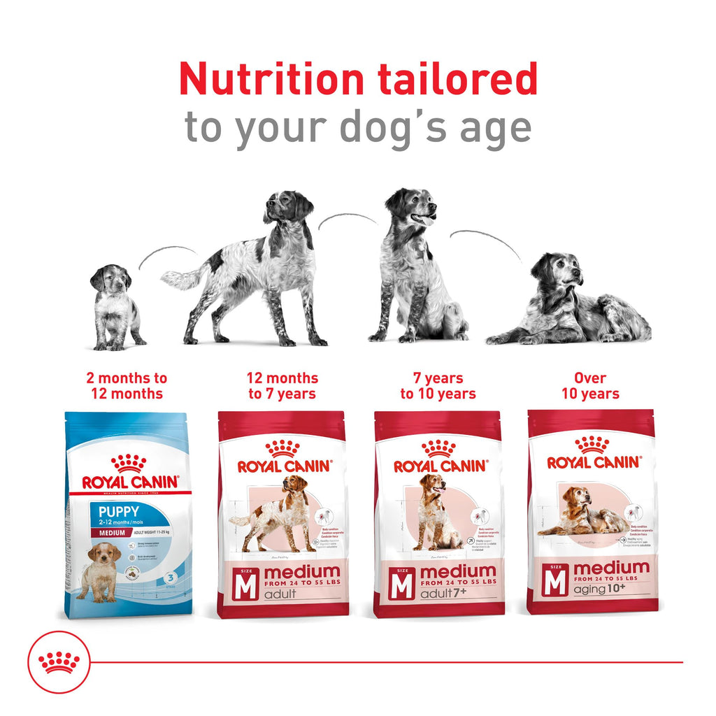 Medium Adult Dry Dog Food, 17 lb Bag N897037