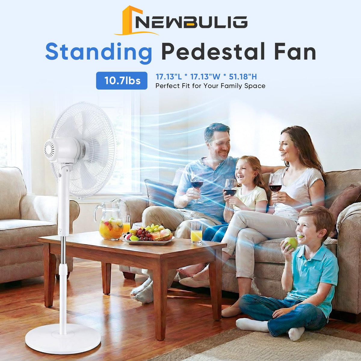 17" Oscillating Pedestal Fan with Remote X314